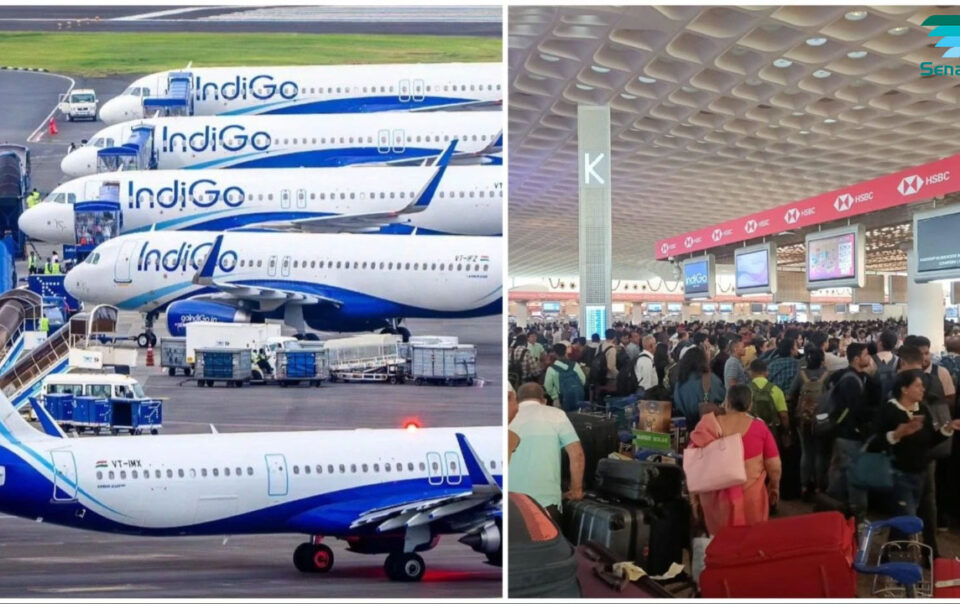 Ultimate Airport Survival Guide